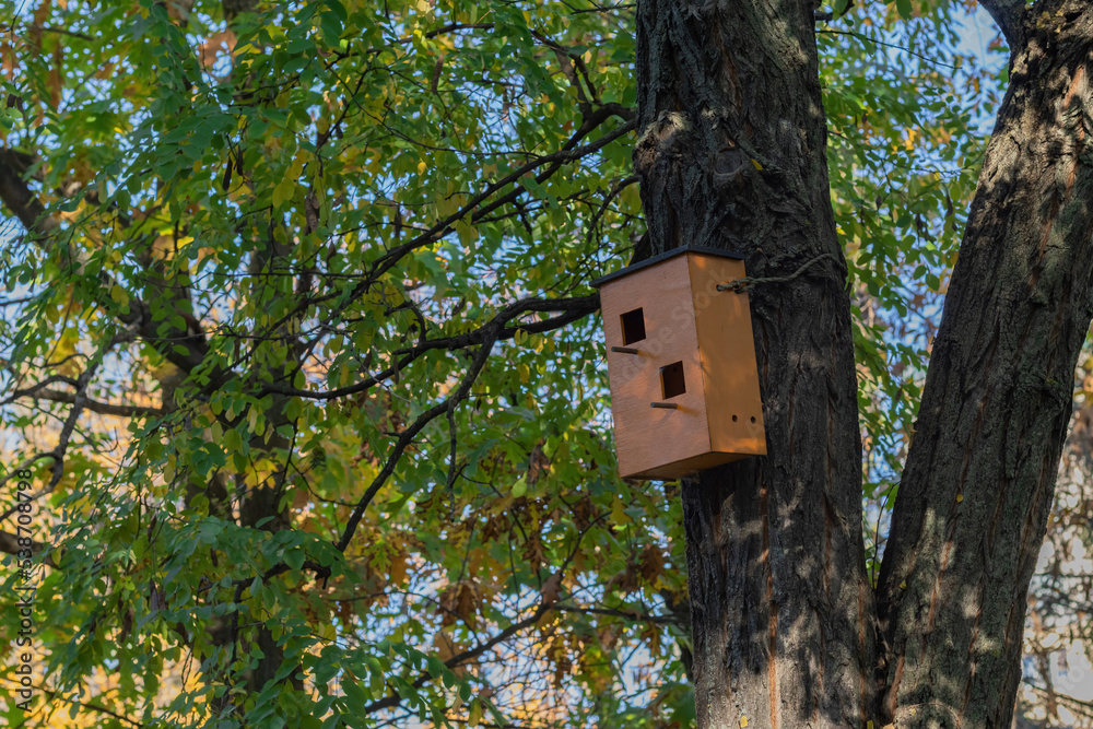 Wooden brown birdhouse on a trunk of a tree in the park. A house for the birds. Bird feeder. Copy space