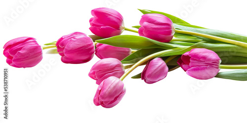 PNG, bouquet of pink tulips photo