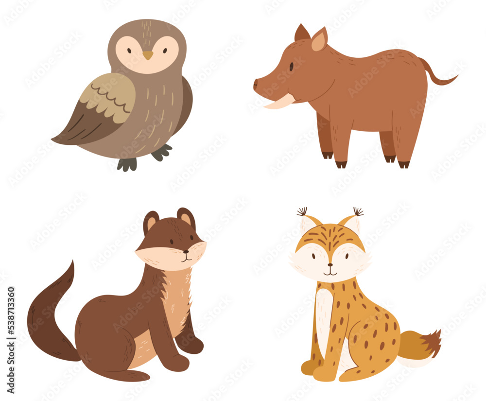 Fototapeta premium Set of Forest Animals Owl, Lynx, Boar, Ferret or Weasel Kawaii Personages, Funny Wildlife Isolated on White Background