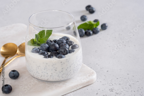 Chia pudding with coconut milk and blueberry with mint