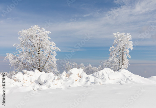 Ice Tree in the Kartepe Ski Center Winter Season, Kocaeli Izmit, Turkey