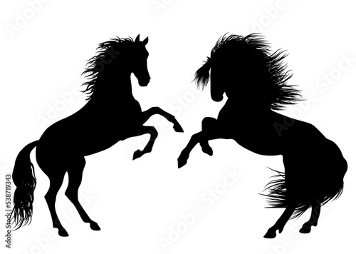 Wild Horses silhouette on white background