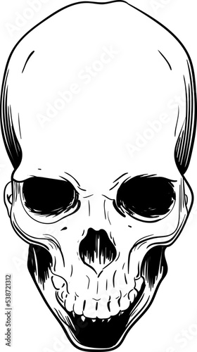 Human skull looking down black and white vector illustration