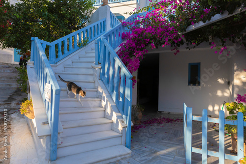 cat on stairway in Xilokeratidi in Amogos, Greece