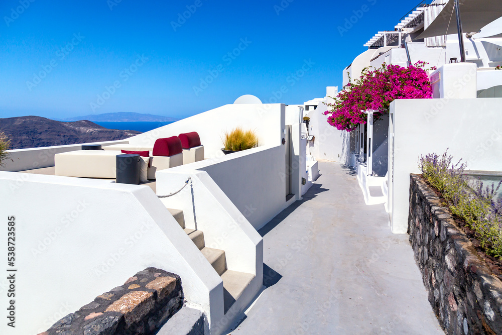 Fototapeta premium Narrow street with white houses and beautiful pink flowers in Oia village. Santorini island, Aegean sea, Greece.