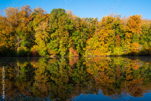 Autumn Reflections at Mallard Lake (Tanglewood)