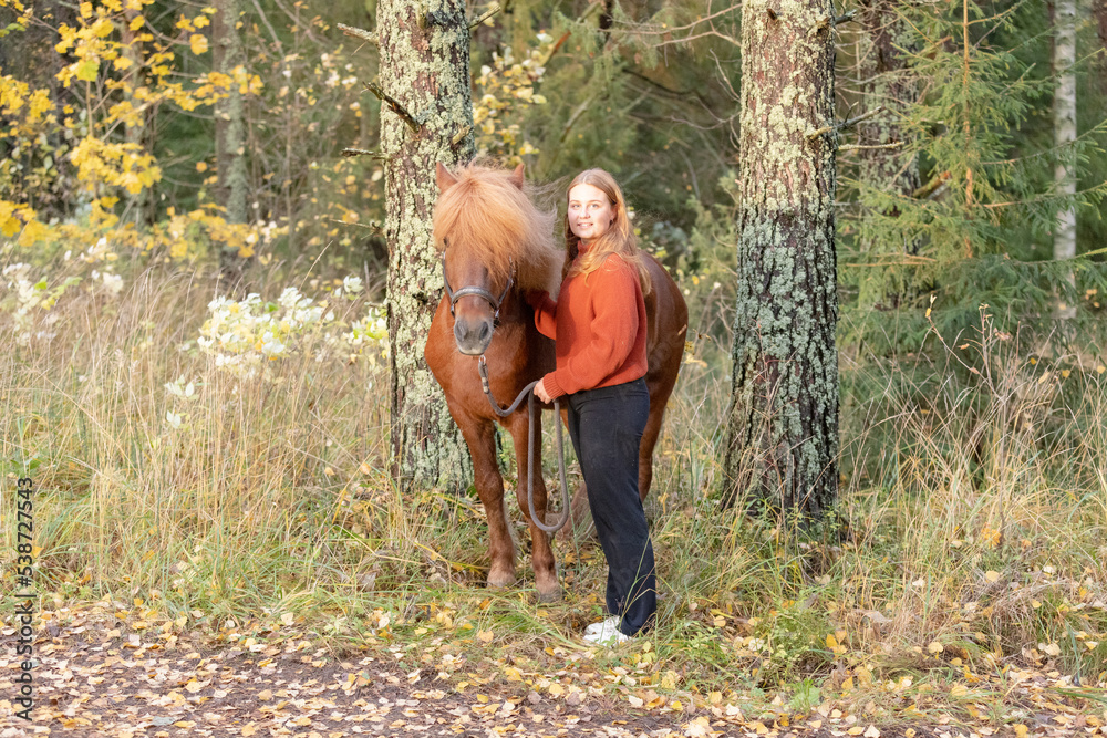 Young woman with Icelandic horse during golden hour. Autumn scenery