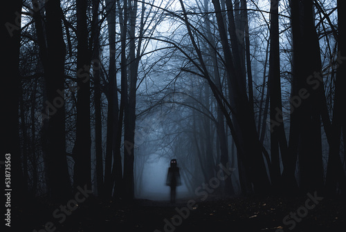 Girl on the road in a mysterious forest. Background wallpaper. Strange forest in a fog. Mystic atmosphere. Dark scary park. Paranormal another world. Gothic witch.