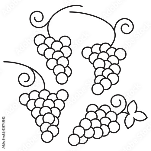 Grape bunches, wine label icon set, different wine grapes, grape big bunch fruit, black isolated on white background, vector illustration.