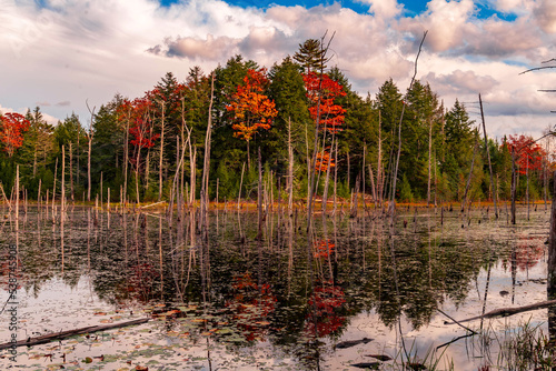 autumn in the mountains foliage fall pond nature view 