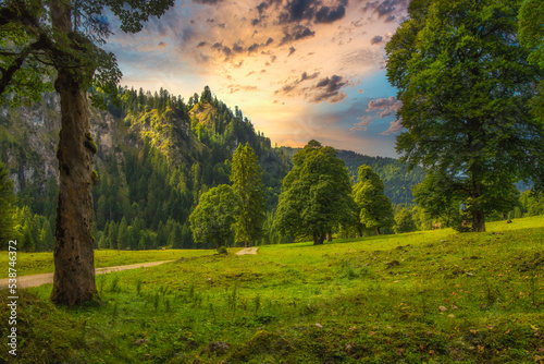 landscape in the mountains over a green field with dramatic sunset
