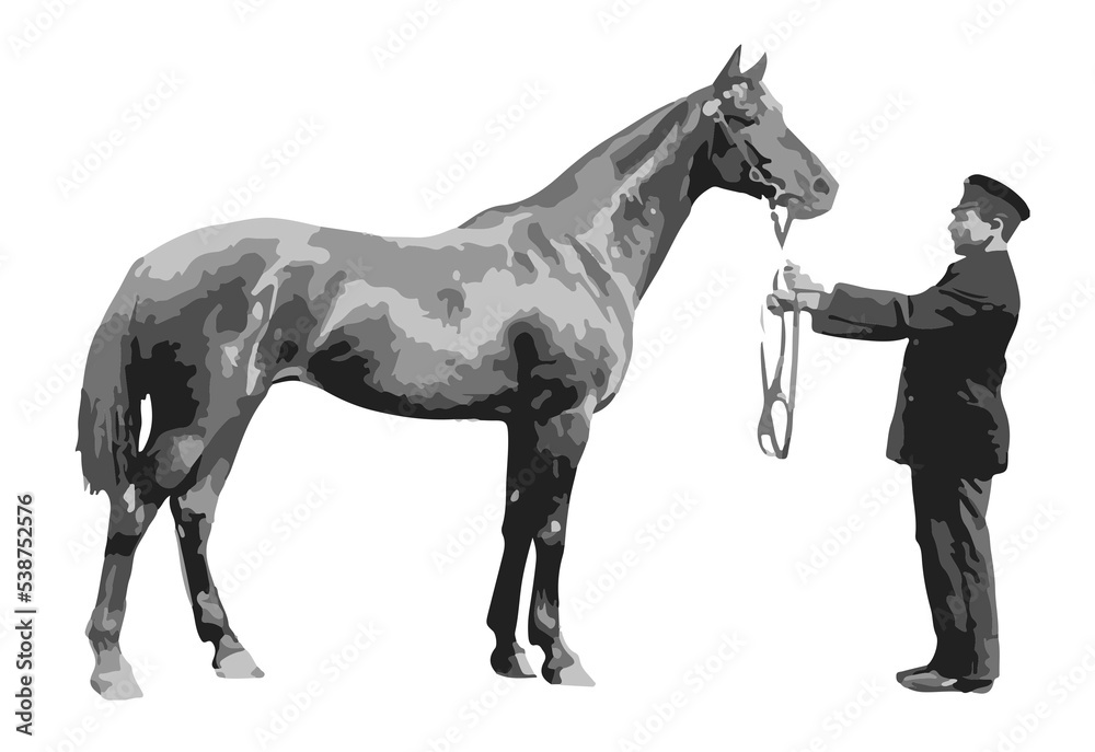 a horse with a groom of the early 20th century