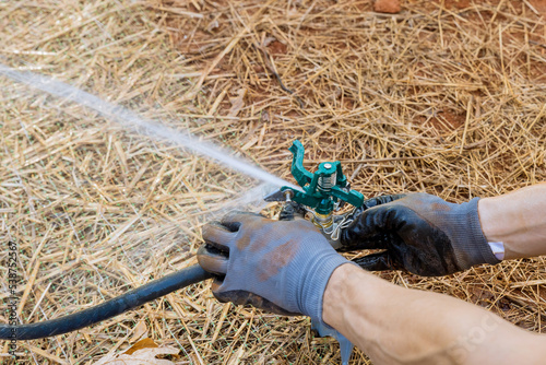 Installation and watering of lawn sprinklers by professional technician is an essential part landscaping gardening near new home