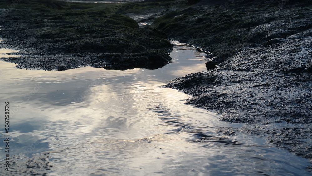 sea sea