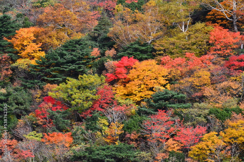 Mt Kurikoma is a volcano on the prefectural borders of Akita, Iwate and Miyagi. It is famous for having a wide range of mountain plants and amazing fall foliage. It is known as one of Japan’s best Mt. Mt Kurikoma is a volcano on the prefectural borders of Akita, Iwate and Miyagi. It is famous for having a wide range of mountain plants and amazing fall foliage. It is known as one of Japan’s best Mt.