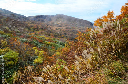 Mt Kurikoma is a volcano on the prefectural borders of Akita, Iwate and Miyagi. It is famous for having a wide range of mountain plants and amazing fall foliage. It is known as one of Japan’s best Mt.