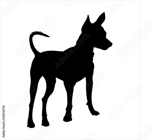 Silhouette of a dog