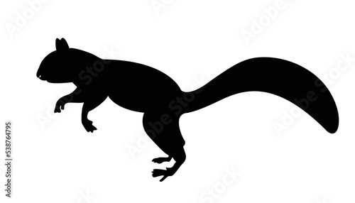 Squirrel with vector silhouette. Funny wild animal cartoon squirrel running  standing and jumping. vector squirrel collection cartoon animal character design Isolated flat  illustration.