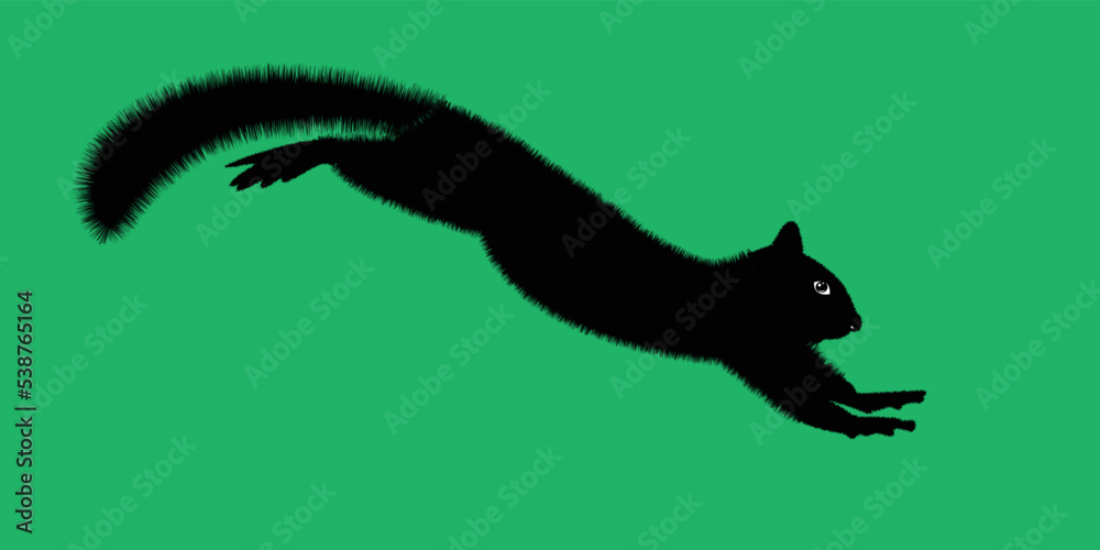Squirrel cute funny. Funny wild animal cartoon squirrel running, standing and jumping. vector squirrel collection cartoon animal character design Isolated flat vector illustration.