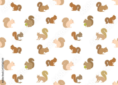 Pattern squirrel. Cartoon squirrel. Set of cute funny cartoon squirrels collection vector illustration flat isolated on white background.