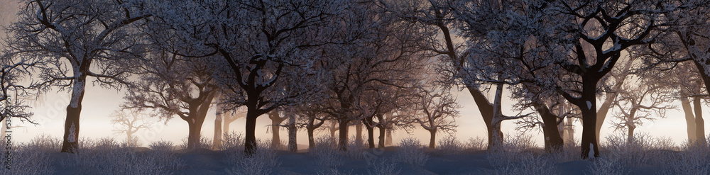 Winter Woodland with Snow covered Trees in a Pale Mist. Seasonal Banner. Winter Woodland with Snow covered Trees in a Pale Mist. Seasonal Banner.