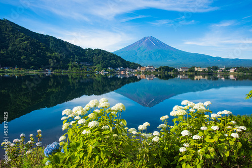富士山とあじさい © 文明 金本