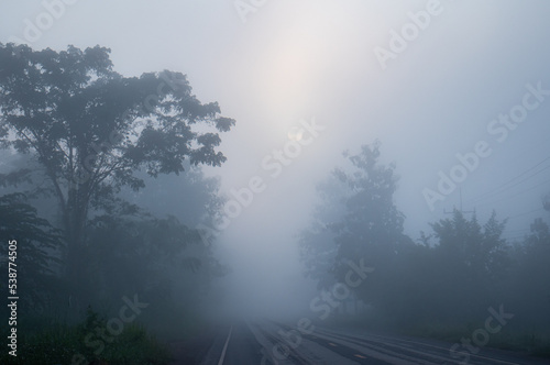 The road was thick with fog, with trees on both sides. morning atmosphere where the sun is rising and the mist