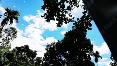 Beautiful sky with tree,shot with mobile