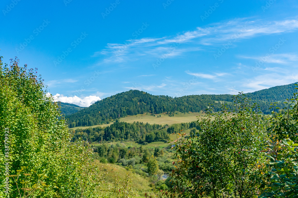 Beautiful green landscape with mountains in the background. Altay