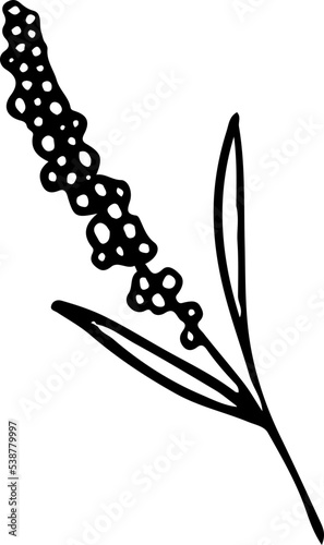 Hand drawn Floral, plants doodles illustration