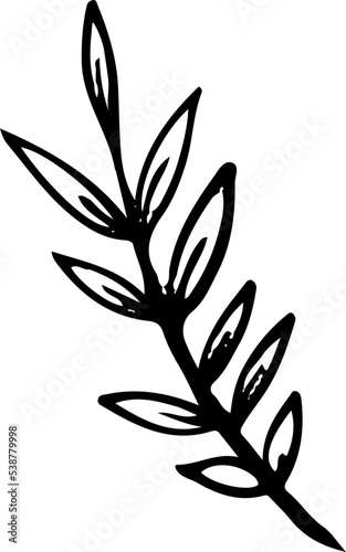 Hand drawn Floral, plants doodles illustration