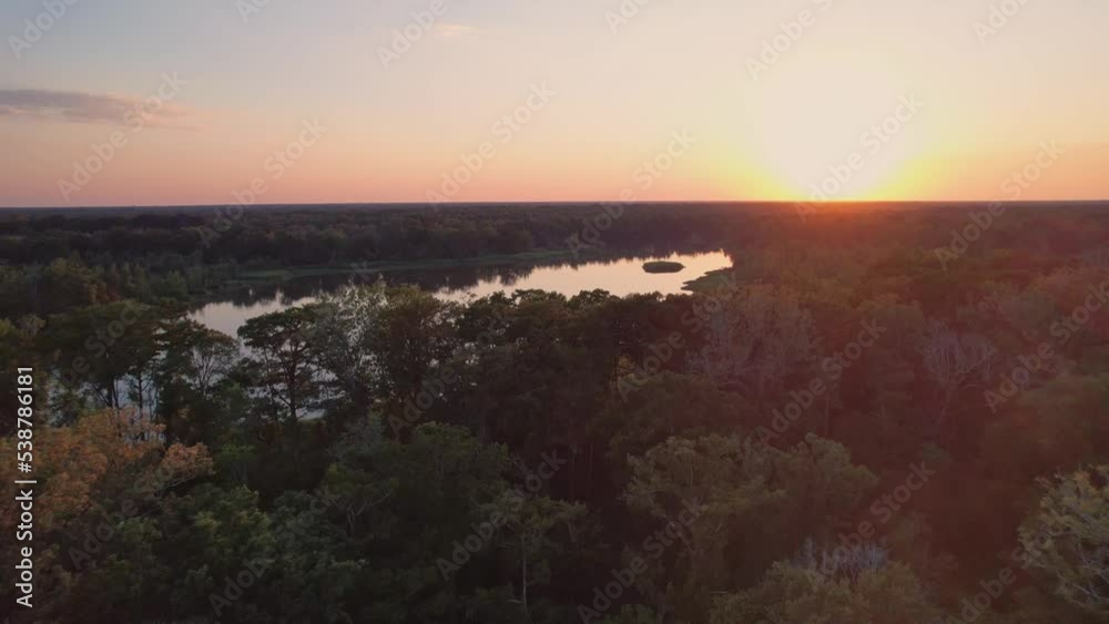 Louisiana swamp bay bayou cypress trees sunset