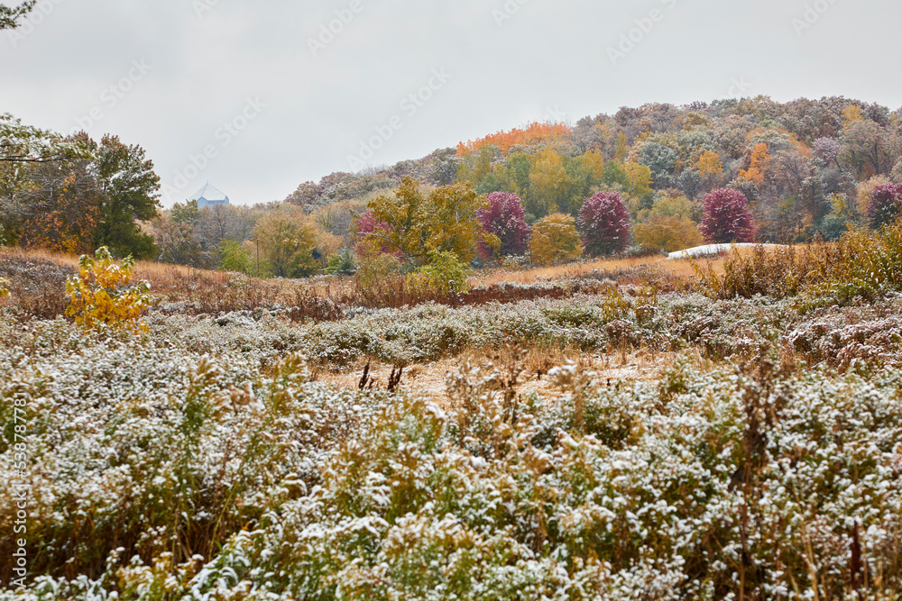Fototapeta premium Beautiful field sprinkled with snow and colorful leaves still hanging on trees