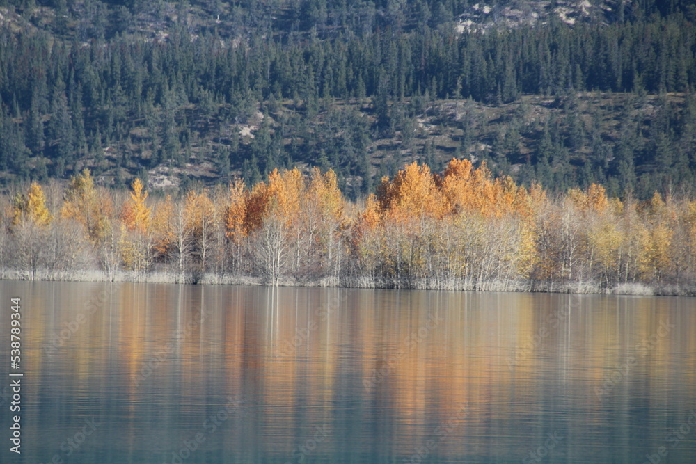 autumn trees reflected in water