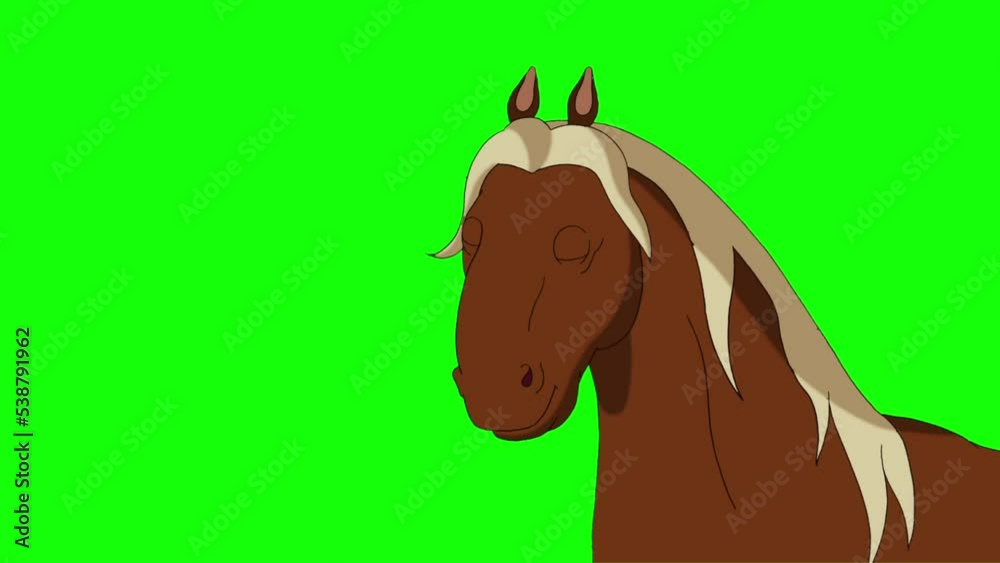 Talking Brown horse chroma key Talking Brown horse chroma key