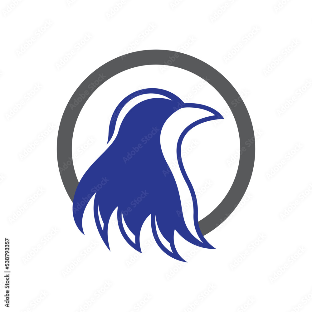 Obraz premium Eagle logo template vector icon
