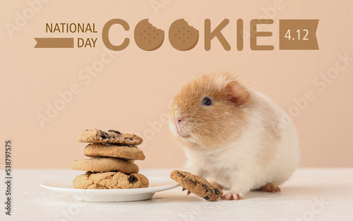 Funny Guinea pig with cooki...