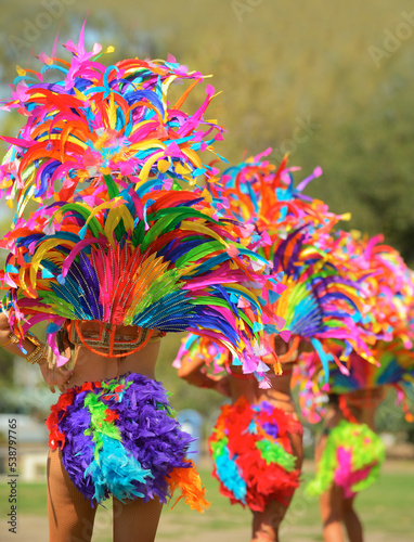 Brazilian Samba Dancer feathers