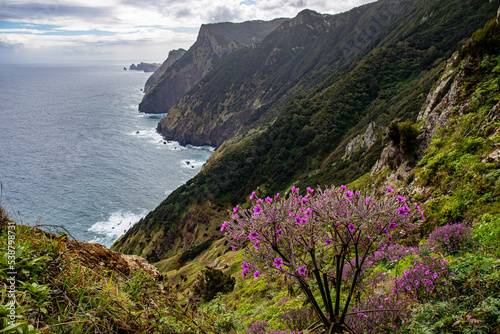 Vereda do Larano hiking trail, Madeira 