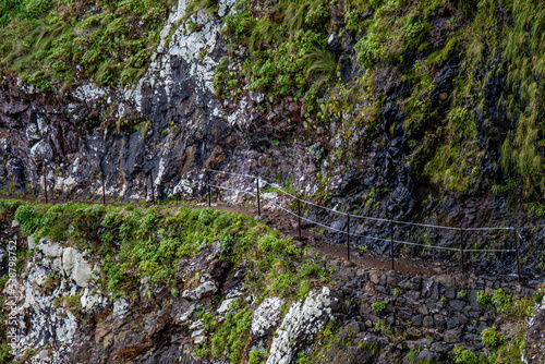 Vereda do Larano hiking trail, Madeira  © klemen