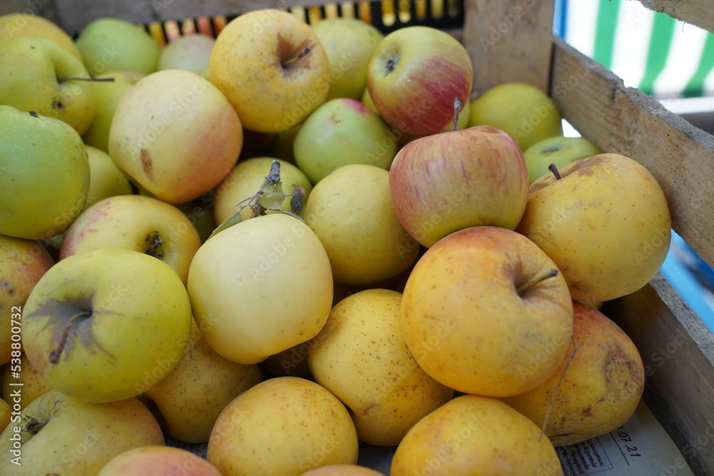 Apples of different varieties on sale at the market.
