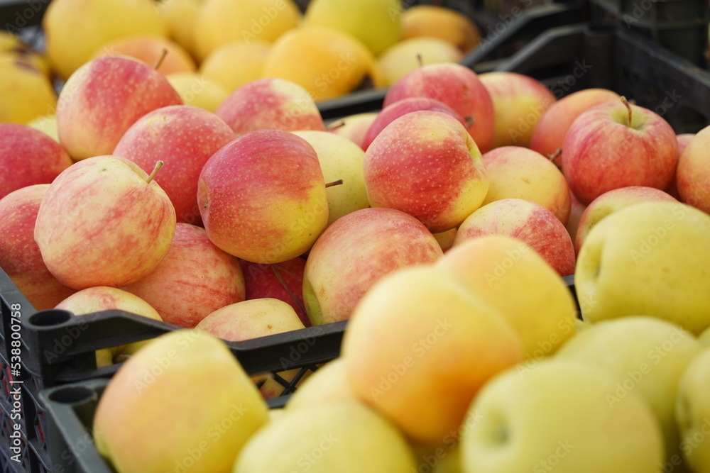 Apples of different varieties on sale at the market. Apples of different varieties on sale at the market.