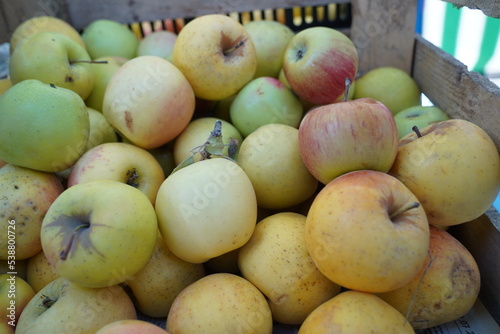 Apples of different varieties on sale at the market.