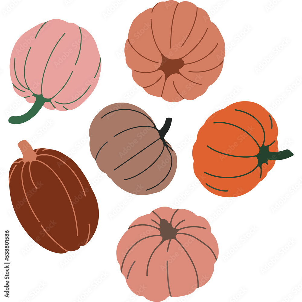 Transparent Simple Modern Aesthetic Pumpkin Illustration. Delicious Contemporary style illustration of Autumn Crops No Background Edition