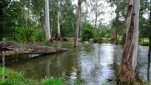 Yarra Glen and Yering Area Of The Yarra Valley. Victoria. Affected By Extensive Flooding and Road Closure's photo