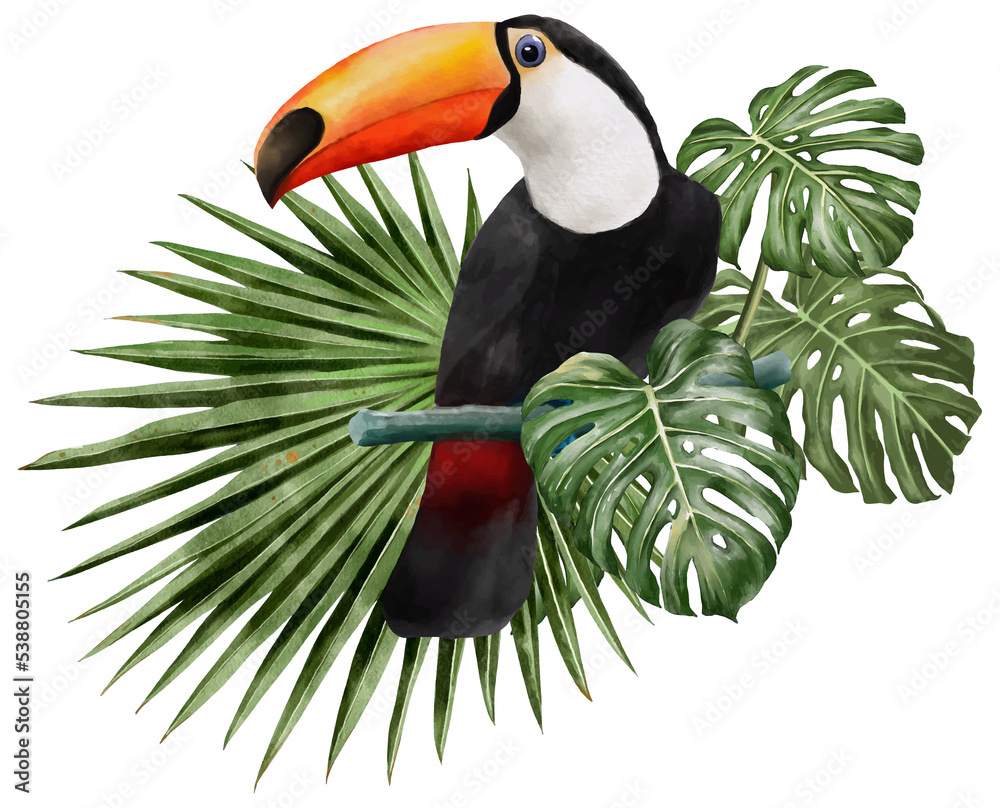 illustration watercolor of toucan bird and leaves.