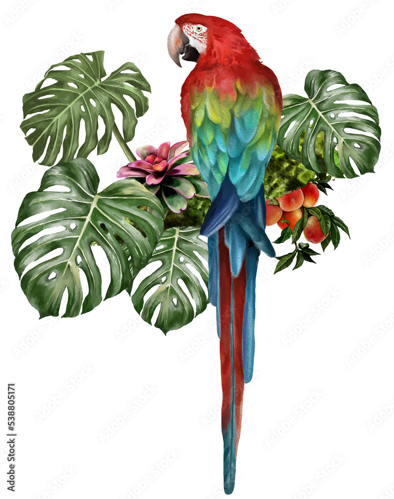 illustration watercolor of Macaw bird and tropical leaves.