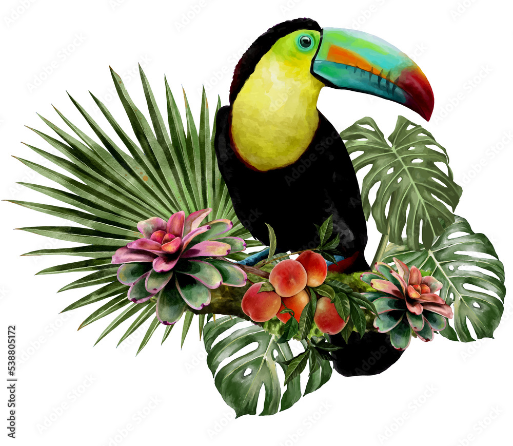 illustration watercolor of toucan bird and leaves