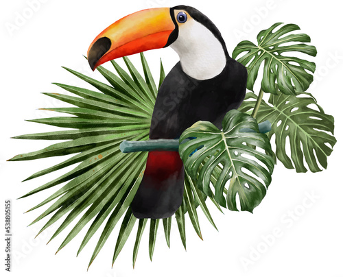 illustration watercolor of toucan bird and leaves.