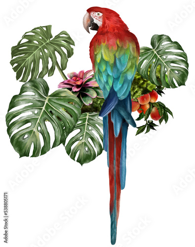 Obraz na płótnie illustration watercolor of Macaw bird and tropical leaves. w salonie